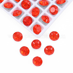 K9 cabochon in strass di vetro&nbsp;MRMJ-N029-16-02