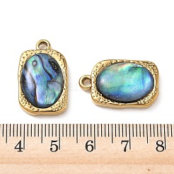 Natur Paua Muschel Anhänger&nbsp;STAS-G397-02G-02