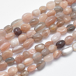 Brins de perles naturelles multi-pierre de lune, pépites, 8~12x7~9mm, Trou: 0.8mm, 15.1 pouce (38.5 cm)