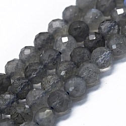 Chapelets de perles en labradorite naturelle , facetté (64 facettes), ronde, 6mm, Trou: 0.8mm, Environ 62~67 pcs/chapelet, 15.16~15.55 pouce (38.5~39.5 cm)