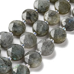 Chapelets de perles en labradorite naturelle , avec des perles de rocaille, coupe hexagonale facettée, plat rond, 12~12.5x5~6mm, Trou: 1.2~1.4mm, Environ 27~29 pcs/chapelet, 15.55~15.75 pouce (39.5~40 cm)