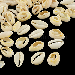 Perles coquillage cauri mélangées naturelles, cauris, papayawhip, 19~24x14~17x5~9mm
