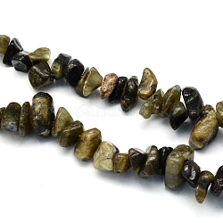 Labradorite Stone Bead Strands, Chip,  8~18x6~12x3~7mm, Hole: 1mm, about 160pcs/strands, 34.6inch