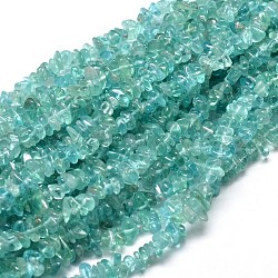 Natural Apatite Chip Beads Strands, 5~14x4~10mm, Hole: 1mm, about 15.5 inch~16.1 inch