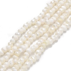 Hebras de perlas de agua dulce cultivadas naturales, patata, crema, 2~3x2.5~3.5x2.5~3.5mm, agujero: 0.5 mm, aproximamente 139~140 pcs / cadena, 13.78 pulgada (35 cm)