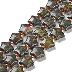 Dragón abalorios naturales del jaspe sanguíneo hebras, con abalorios de la semilla, estrella, 14~15.5x15~16x6.5~7mm, agujero: 1 mm, aproximamente 24~25 pcs / cadena, 15.55''~15.95'' (39.5~40.5 cm)