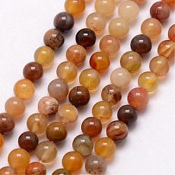 Pétrifiés bois brins de perles naturelles, ronde, 3~3.5mm, Trou: 0.7mm, Environ 115~125 pcs/chapelet, 16 pouce