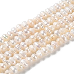 Fili di perle di perle d'acqua dolce coltivate naturali, patata, grado a, papayawhip, 4~6x3.8~4.2mm, Foro: 0.5 mm, circa 90pcs/filo, 13.31 pollice (33.8 cm)
