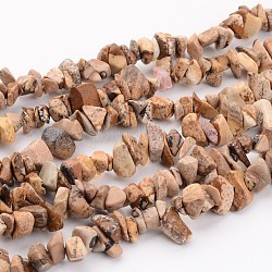 Natural Picture Jasper Chips Beads Strands, 5~8mm, hole: about 0.3mm, 32~about 32~32.5 inch Long