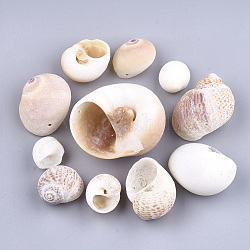 Pendenti shell conchiglia, navajo bianco, 19~45x15~46x10~30mm, Foro: 1.5 mm