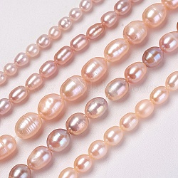Natural Cultured Freshwater Pearl Beads Strands, Rice, PeachPuff, 4~11x4~11mm, Hole: 0.5~1mm, about 32~108pcs/strand, 14.1 inch~14.7 inch(36~37.5cm)