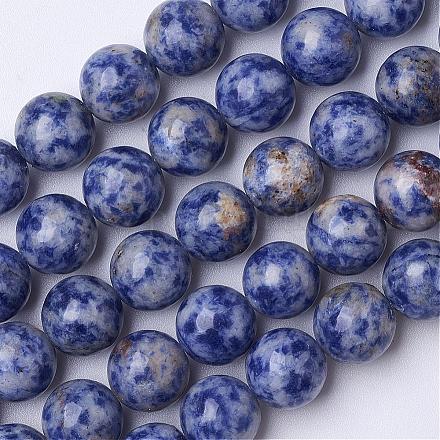 Natural Blue Spot Jasper Beads Strands G-D855-10-12mm-1