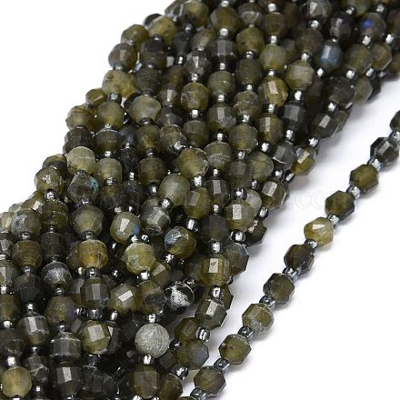 Natural Larvikite Beads Strands G-O201B-27-1