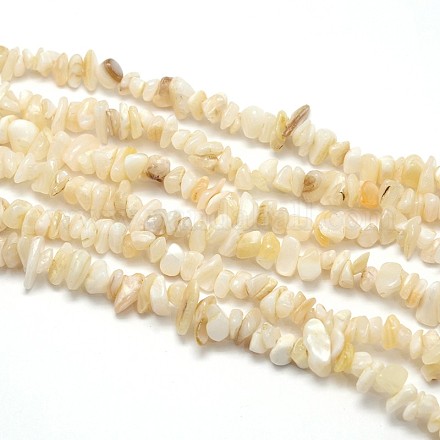 Natural White Shell Beads X-BSHE-O049-B-01-1