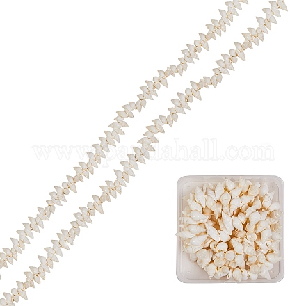 Spirale naturale perline shell fili BSHE-SZ0001-01-1