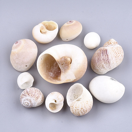 Pendientes de concha de caracol SSHEL-Q308-01-1