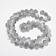 Frosted Electroplate Glass Shell Beads Strands EGLA-M002-B05-2