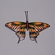 3d eiserne Schmetterlingsverzierungen AJEW-TAC0025-17B-1