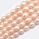 Natural Cultured Freshwater PearlBeads Strands PEAR-K003-21A-1