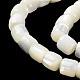 Brins de perles de coquillages naturels de troca BSHE-E030-05B-4