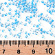 Perline di semi di vetro rotonde di grado 11/0 SEED-N001-D-221-3