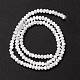 Fili di perle di conchiglia trochid naturale / trochus X-SSHEL-O001-24B-02-2