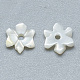 Perles de coquillage blanc naturel SSHEL-S260-016-2