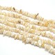 Natural White Shell Beads X-BSHE-O049-B-01-1