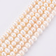 Natural Cultured Freshwater Pearl Beads Strands PEAR-S012-72-6