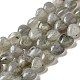 Chapelets de perles en labradorite naturelle  G-B022-16B-1