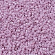 MIYUKI Delica Beads Small X-SEED-J020-DBS0210-2