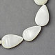 Chapelets de perles en coquillage naturel X-SSHEL-Q296-43-2