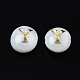 Natural Freshwater Shell Beads SHEL-S278-036Y-3