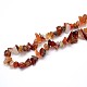 Natural Carnelian Beads Strands G-O049-C-59-3