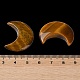 Pierres naturelles de palmier de lune d'oeil de tigre G-M416-04C-3
