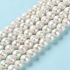 Natural Cultured Freshwater Pearl Beads Strands PEAR-E018-02-2