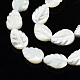 Chapelets de perles de coquille de trochid / trochus coquille SSHEL-N034-135B-01-3