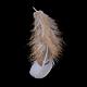 Chicken Feather Costume Accessories FIND-Q046-02-3