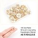SUNNYCLUE 1 Box 20Pcs 10 Style 18K Gold Plated Moon Star Charms Pendants Micro Pave Clear Cubic Zirconia Pendants with Jump Ring for DIY Earrings Necklace Bracelet Jewellery Making Crafting Supplies ZIRC-SC0001-20-3
