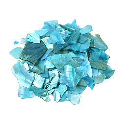Natürliches Abalone/Paua-Schalenglimmerfragment&nbsp;MRMJ-N026-001-A05