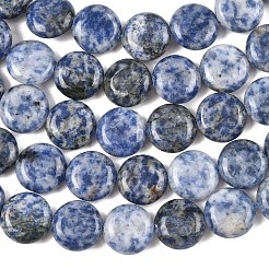 Natürliche blaue Fleck Jaspis Perlen Stränge&nbsp;G-L648-B08-15mm