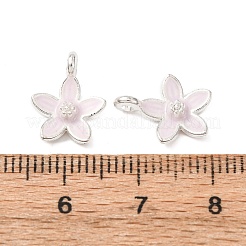 Pendentifs d'émail en alliage&nbsp;FIND-B063-03S