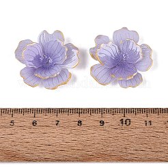 Tappi per perline acrilici termoretraibili&nbsp;OACR-N164-15
