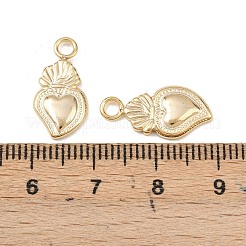 Pendentifs en acier inoxydable 304&nbsp;STAS-A129-08G