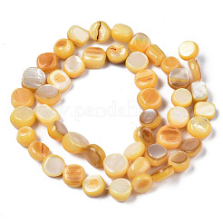 Fili di perle di conchiglia trochid naturale / trochus&nbsp;SHEL-S258-083-B11