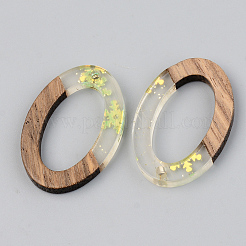 Colgantes de resina transparente y madera de nogal&nbsp;RESI-S389-022A-D01