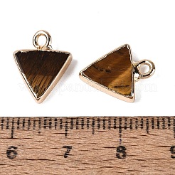 Natürlichen Tigerauge Anhänger&nbsp;G-Q606-103G-03