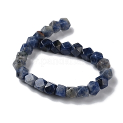 Fili di perline rotonde con taglio a stella in sodalite naturale&nbsp;G-M418-C05-01