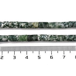 Natürliche grüne Fleck Jaspis Perlen Stränge&nbsp;G-C128-A17-01