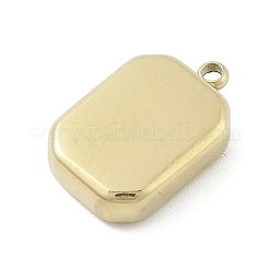 Colgantes de acero inoxidable quirúrgico 316&nbsp;LS-STAS-S159-02B-G